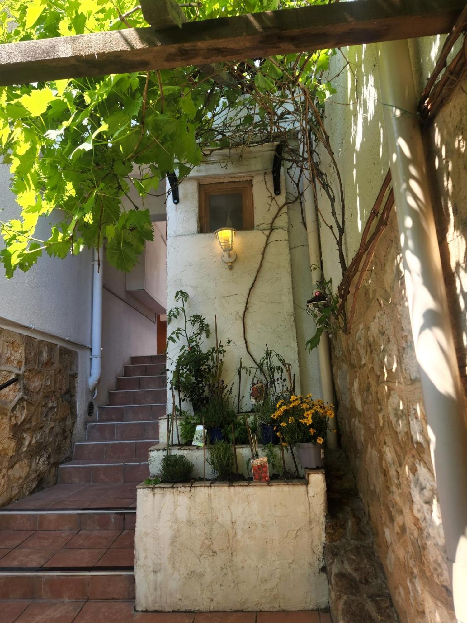 2 Pieces, Proche Centre Ville, Gip Asfo, Jardin Et Parking Privatifs Grasse Exterior foto